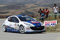 1 Peugeot 207 S2000 P.Andreucci - A.Andreussi (34)